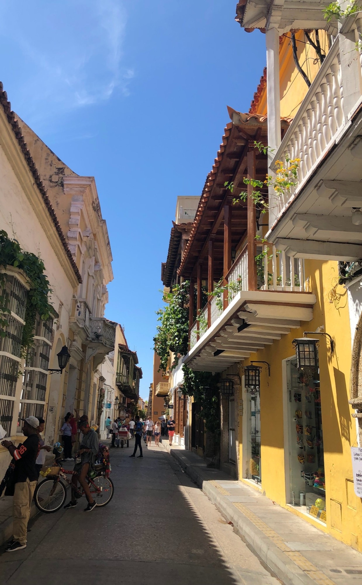 A sunlit colonial street with balconies and bougainvillea in Cartagena.