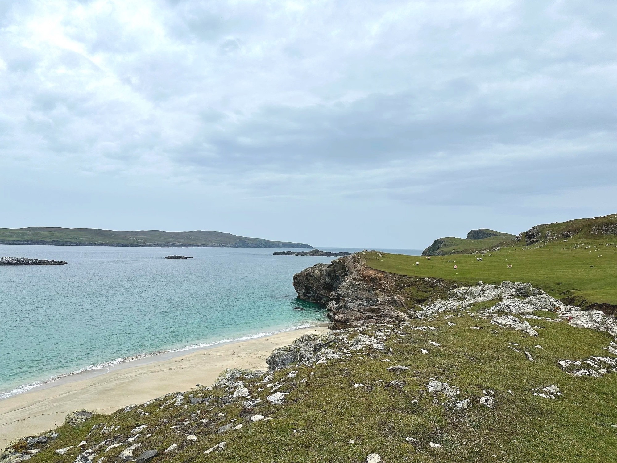 A white-sand cove below green clifftops on the Irish coast, with sheep grazing on the headland.